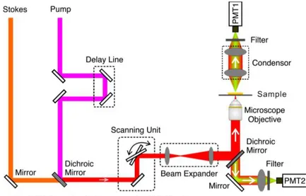 Figure 7: This figure shows the schematic of a typical laser-scanning CARS microscope