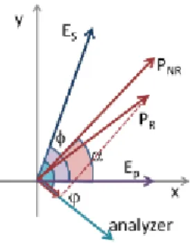 Figura 2.5: Schema dei vettori di polarizzazione nel P-CARS