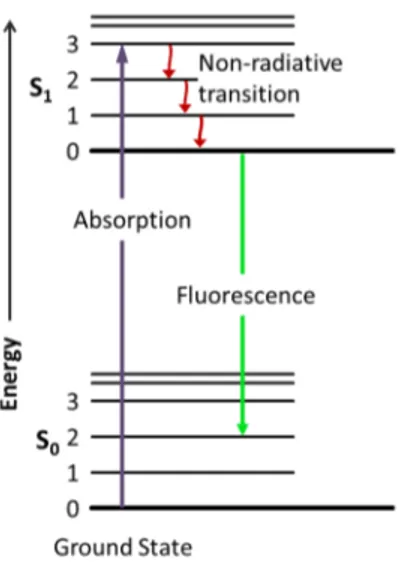Figura 2.3. Il diagramma di Jablonski è uno schema sintetico ed intuitivo sul funzionamen- funzionamen-to della fluorescenza