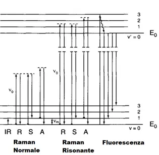 Fig. 1.2: Schematizzazione dei diversi modi in cui la radiazione pu` o interagire con una molecola