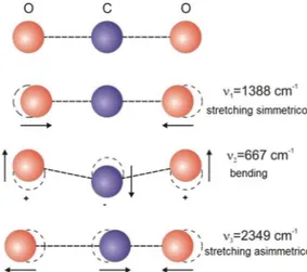 Fig. 1.5: Modi di vibrazione per la molecola CO 2 . Il moto di bending ` e degenere, in quanto pu` o