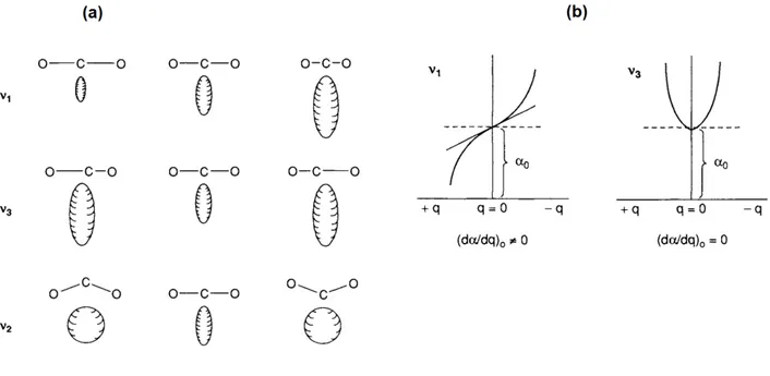 Fig. 1.6: (a): Deformazione dell’ellissoide di polarizzabilit` a per i modi normali della molecola di CO 2 .