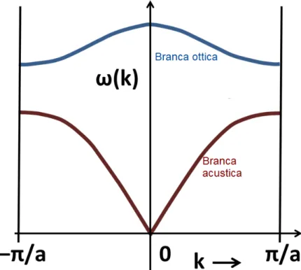 Fig. 1.8: Curve di dispersione per i modi normali di una catena diatomica