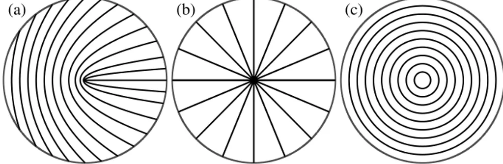 Figura 4.3. Rappresentazioni schematiche di q-plate. Le linee indicano la direzione dell’asse