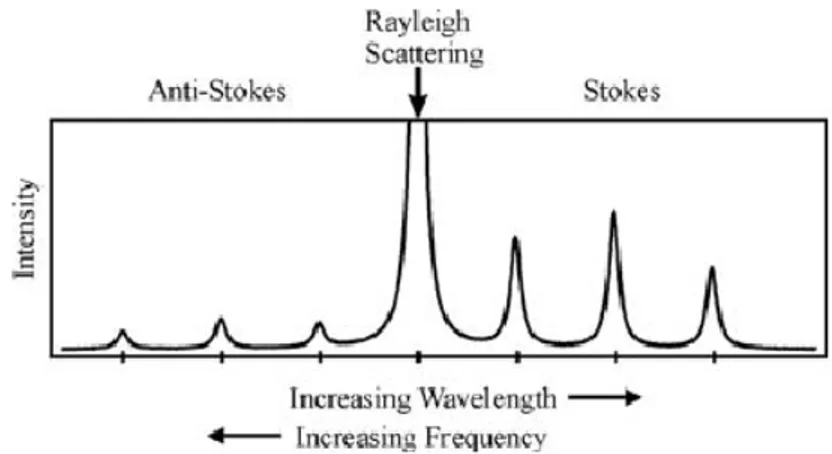 Figura 2.1: Spettro luce diffusa: la componente Rayleigh ` e molto p` u in- in-tensa rispetto alle componenti Stokes e anti-Stokes, che hanno posizione simmetrica.
