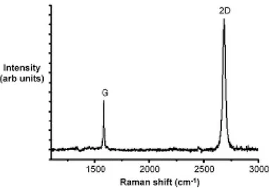 Figura 2.2: Spettro Raman del grafene puro