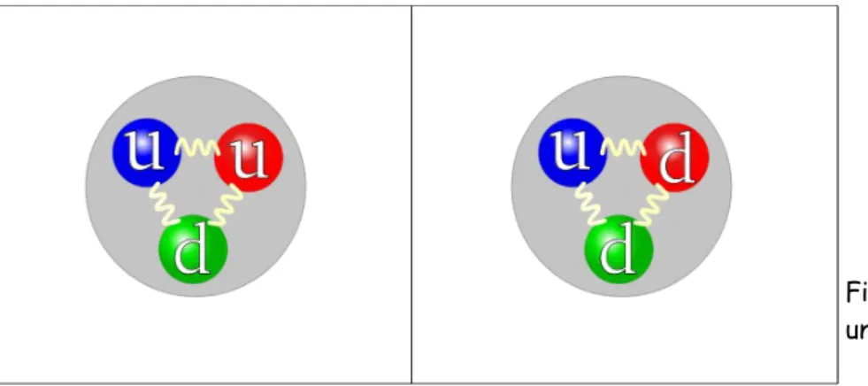 Fig. 34.2 La struttura interna di un protone e di un neutrone