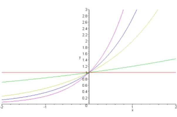 Figura 4.6: Esponenziali di base a &gt; 1