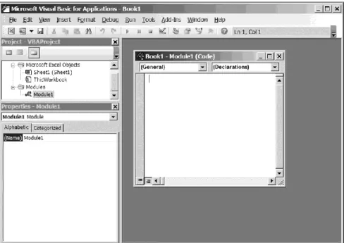 Fig. 1.2. The VB window, including the code window,   after inserting Module1 into the Excel workbook 