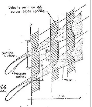 Figura 3.15. Rappresentazione schematica dello sviluppo dello strato limite sulle superfici palari  e delle scie in una schiera piana