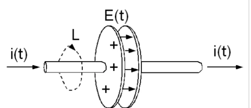 Fig. 1- Rappresentazione schematica di un circuito attraversato da una corrente variabile i(t) nel tempo e di una linea chiusa nello spazio  