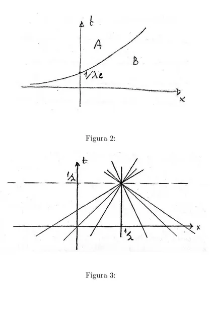 Figura 2: Figura 3: Esempio 1.3 Si studi il problema u t + 1 1 + |u| u x = 0 (1.21) u(x, 0) = u 0 (x) = αx , α &gt; 0 (1.22) La velocit` a c(u) = 1