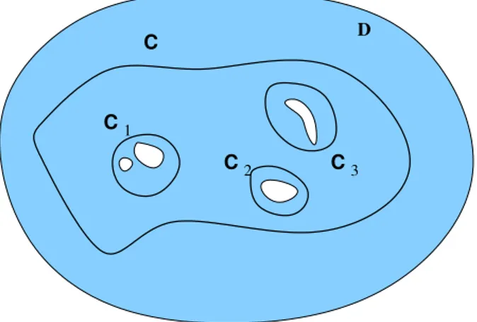 Figura 1.4.1. Dominio molteplicemente connesso, e percorsi di integrazione per il teorema 1.4.16
