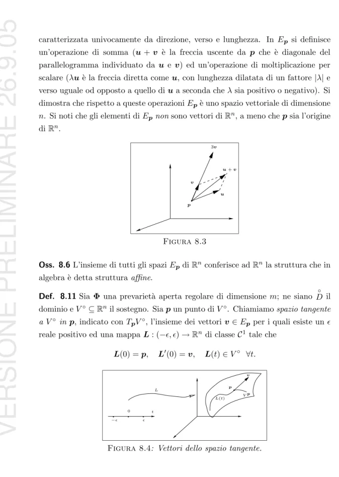 Figura 8.4 : Vettori dello spazio tangente.