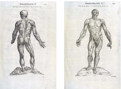 Figura  9.   Immagine  tratta  dal  libro 