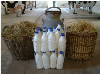 figura 3.  La produzione del latte ieri e oggi: dal bidone alle  confezioni industriali (foto Scavia G., ISS)