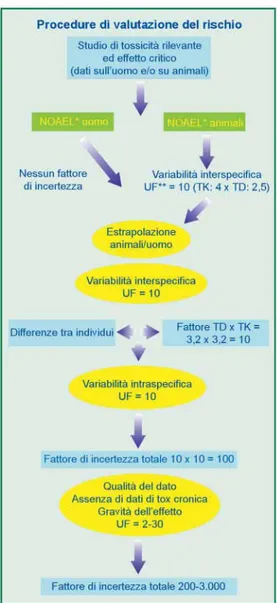 Figura 6  - Schema di applicazione delle proce- proce-dure di valutazione del rischio