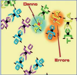 Figura 4 - Danno del DNA e mutazione