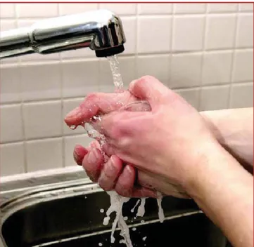 Figura 2  - Lavarsi le mani è una semplice ma importante  abitudine. Il lavaggio delle mani deve essere effettuato  con cura, utilizzando il sapone e sfregandosi le mani per  qualche minuto, non frettolosamente per pochi secondi  (riprodotto per gentile co