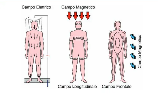 Figura 6 - L’esposizione a campi elettromagnetici induce correnti elettriche all’interno del corpo umano