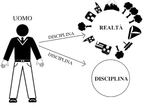 Figura 1. La disciplina come percorso di conoscenza