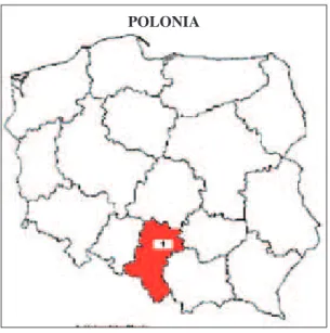 Fig. 1 - Voivodato Slesia