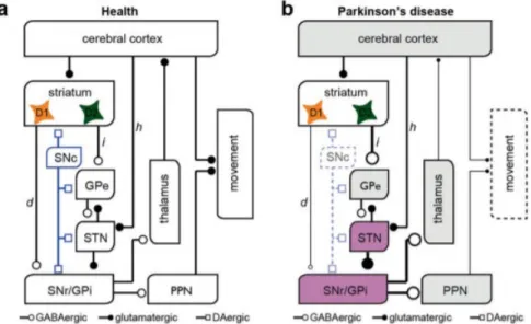 Figure 1.4 The classical Rate Model of the Basal Ganglia under healthy condition and PD