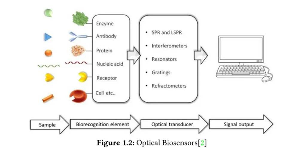 Figure 1.2: Optical Biosensors[ 2 ]