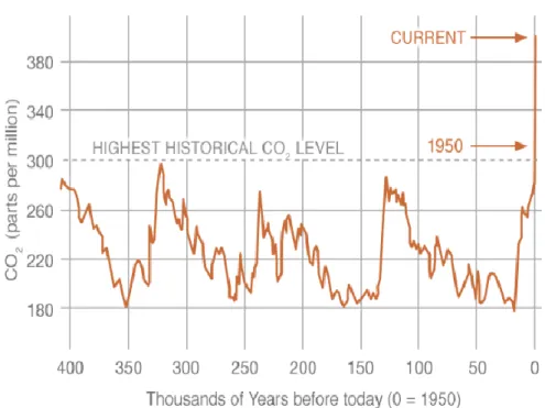 Figura 3 - Andamento della CO2 (ppp) negli ultimi 400.000 anni 