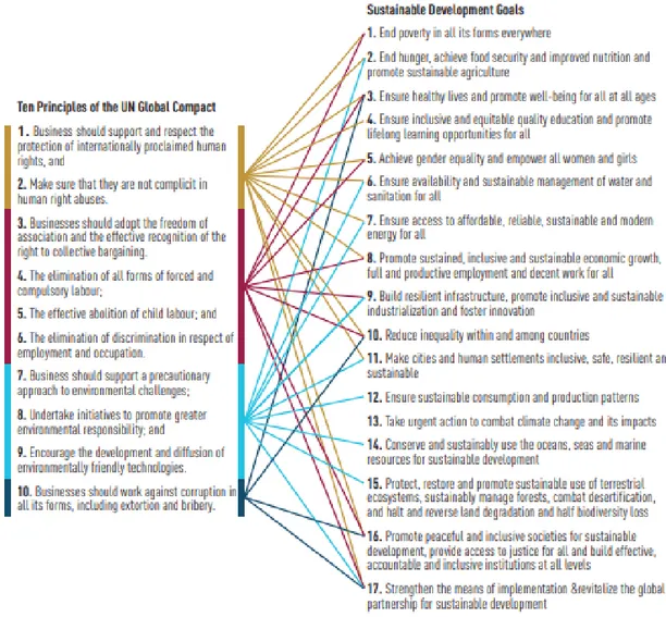 Figura 7- Nessi tra principi del Global Compact e SDGs 