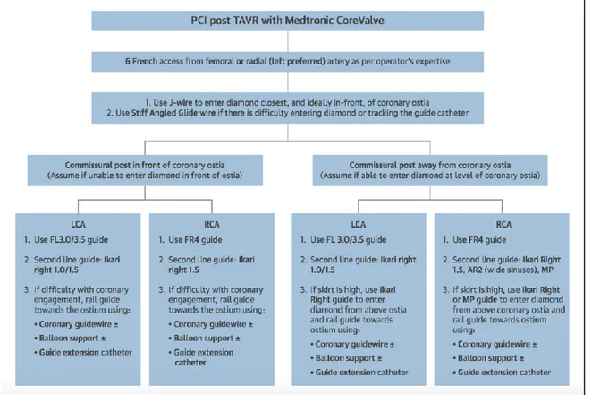 Figura 5 : Algoritmo per la scelta dei cateteri guida durante PCI dopo impianto di valvola 