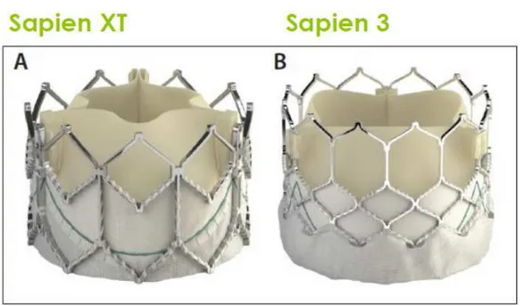 Fig. 5 – Protesi valvolari trans-catetere 