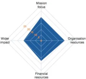 Figure 3: Example of impact measurement of Charity Bank (from Bosheim, 2012) 