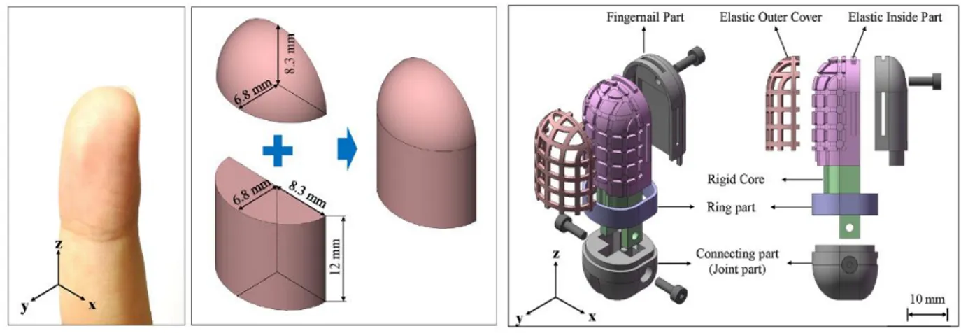 Figure 6 – Microstructured ferroelectric skin resembling the human fingertip anatomy presented by Park et al