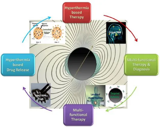 Figure 2.1 Biomedical multifunctionality of magnetic nanoparticles.  Reproduced with permission [23]
