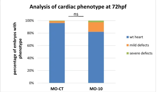 Figure 3.3 - Quantification of cardiac phenotypes in fluorescence in embryos microinjected with 4ng of MO-
