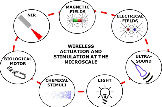 Figure 1. 2 Overview of wireless actuation and stimulation strategies at the microscale.