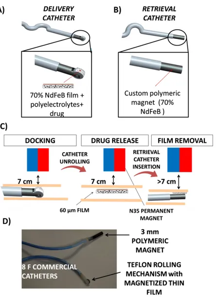 Figure 2. 13 Depiction of the magnetic thin film delivery (A) and retrieval (B) catheters