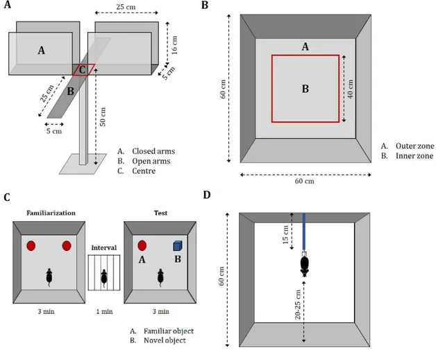 Figure 3. Graphical representation of the apparatus used for behavioural tests. (A) Elevated Plus Maze; (B) Open  Field Test; (C) Novel Object Recognition Test; (D) Tail Suspension Test 