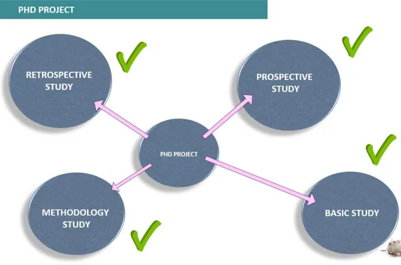 Figure 6: Summary of the objective of the present PHD project and thesis. 