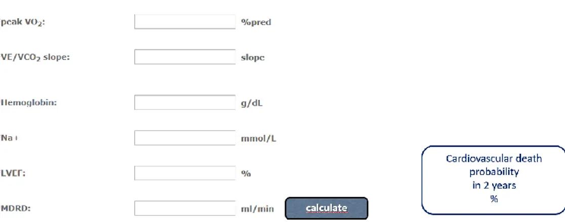 Figure 8: Software is available online to calculate MECKI score, including the six variables required