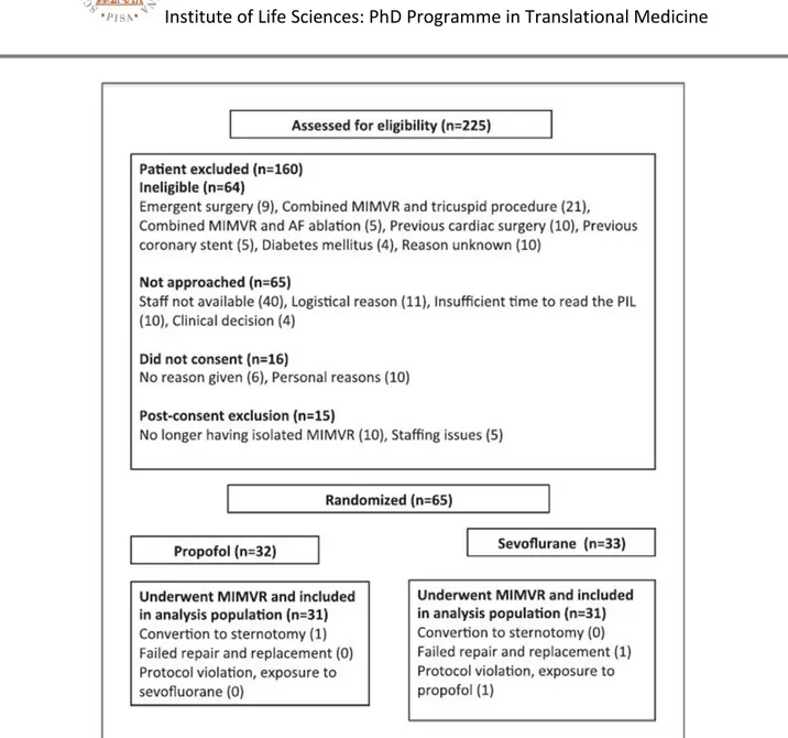 Fig. 5: Flow of patient enrollment. Abbreviations: AF, atrial fibrillation; MIMVR, minimally invasive mitral  valve repair; PIL patient information leaflet