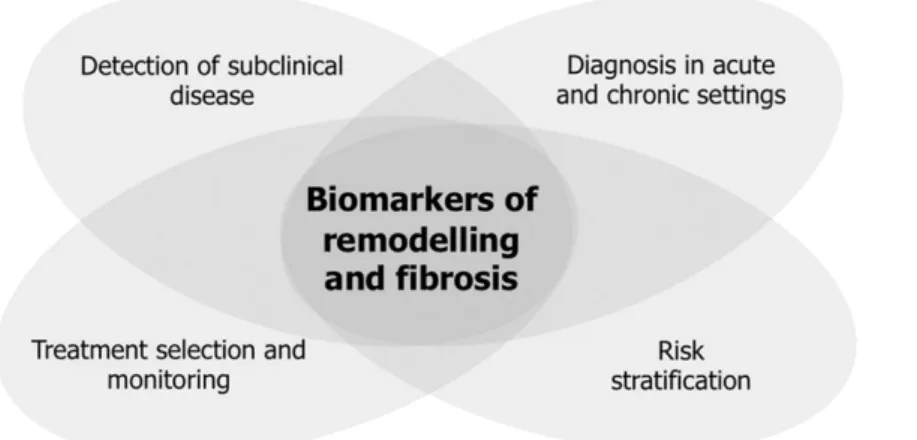 Table 3.1 Established biomarkers for HF management. Adapted from 2013 ACCF/AHA Heart 