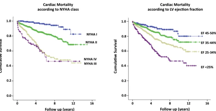 Figure 3.2 Survival trends in heart failure patients. Kaplan Meier plots in the Pisa cohort of 