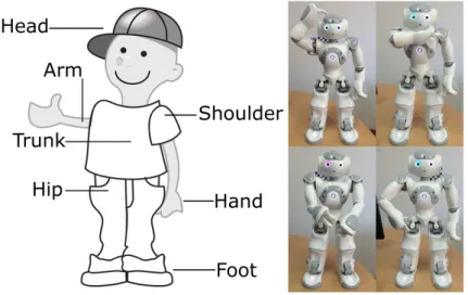 Figure 3.8: The robot shows the human body parts: head, shoulder, hand, hip.