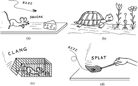 Figure 2: Both the mouse (a) and the turtle (b) behave in real time with respect to their natural habitat