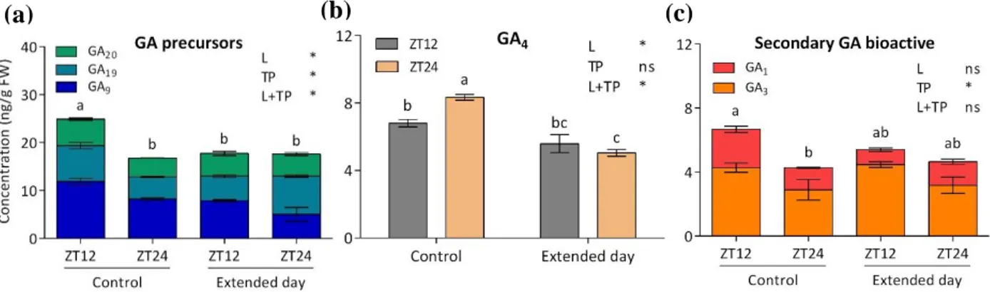 Figure 3.9. GA abundance in control (12L/12D) and extended day (15L/9D) treatment. X-axis indicates 