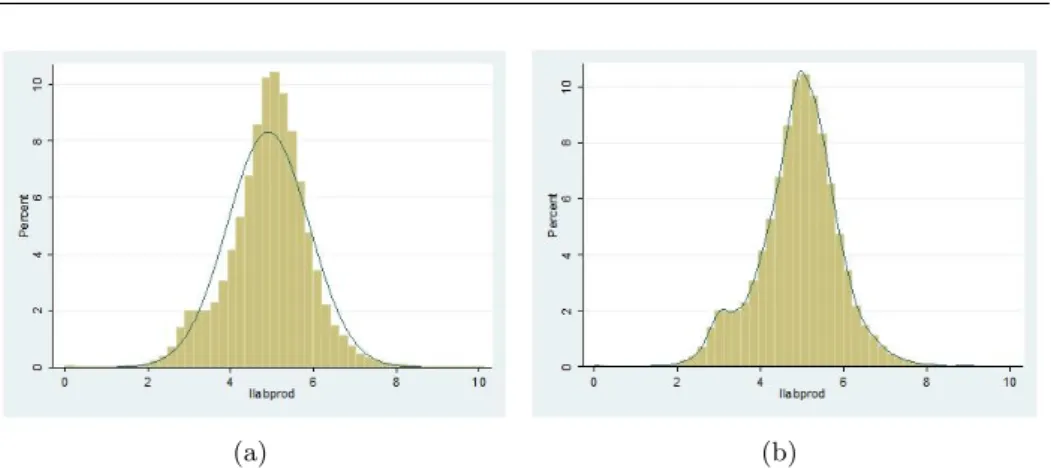 Figure 3 – Histogram and Normal Density Plot (Panel a) and Kernel Density Plot (Panel b) of Labor Productivity (in logs).