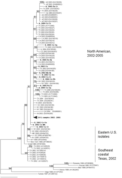 Figure 2 – Phylogenetic tree constructed by Bayesian analysis of 132 WNV envelope gene se- se-quences