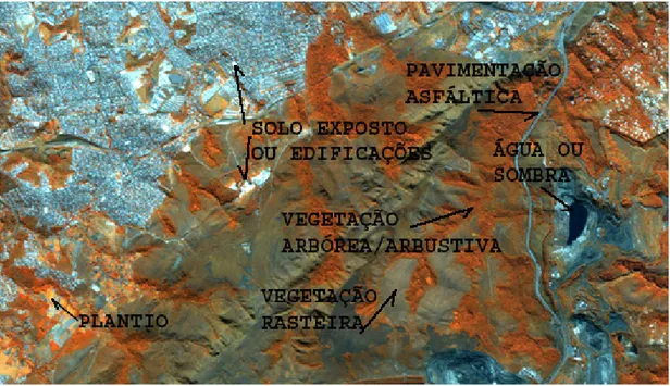 Figure 3 – Color composition RGB-543 of RapidEye 2010 image. Água ou sombra = Water or shadows